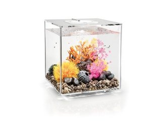 Acvariu BIORB CUBE MCR transparent 30l