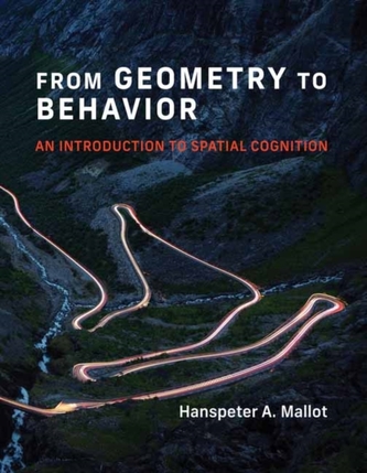 De la geometrie la comportament