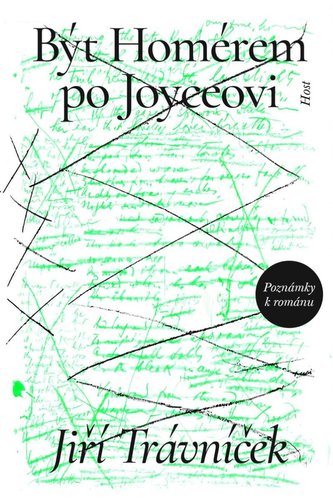 A fi Homer după Joyce - Note despre roman