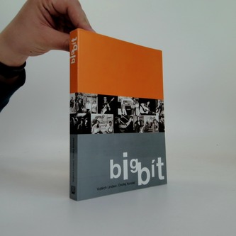 Bigbít