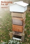 Apicultură pentru toți