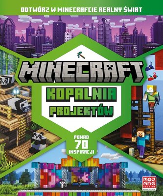 Minecraft. Mină de proiecte