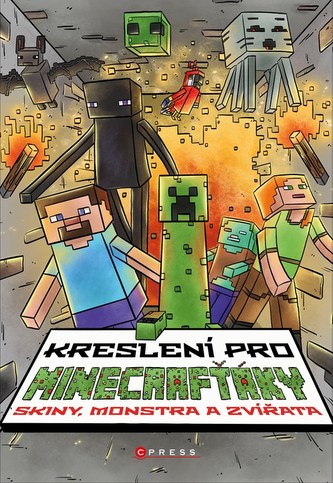 Desen pentru jucătorii Minecraft