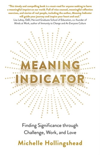 Indicator de semnificație