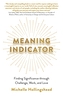Indicator de semnificație