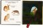 Animale de la fermă - Carte cu lanternă magică