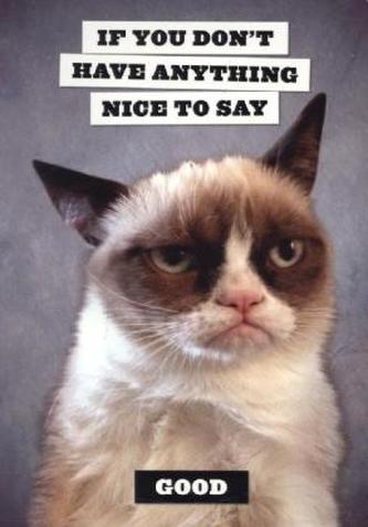 Grumpy Cat Flexi Journal