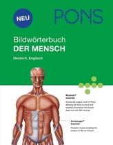 PONS Dicționar ilustrat: Omul