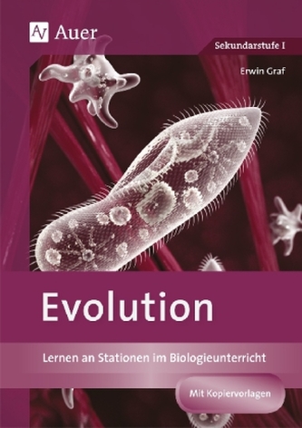 Evoluție