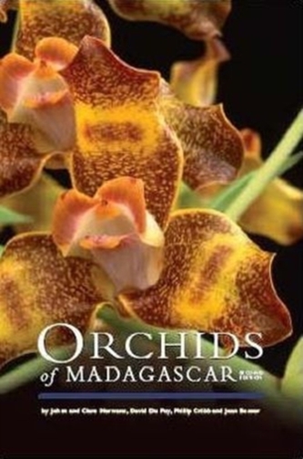 Orhidee din Madagascar