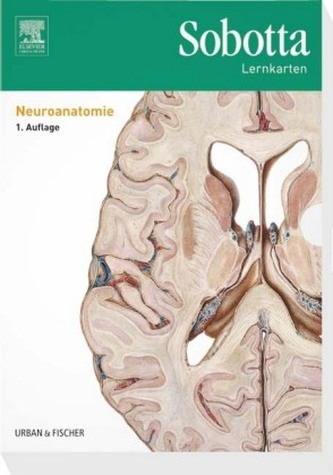 Neuroanatomie, fișe de învățare