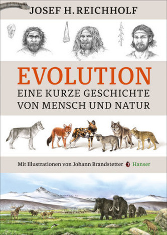 Evoluție