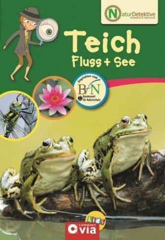 Teich, Fluss + See