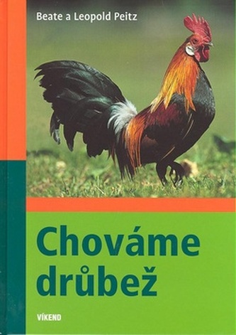 Creștem păsări