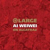 At Large