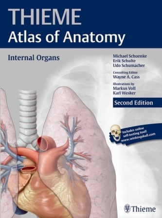 Internal Organs