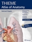 Internal Organs