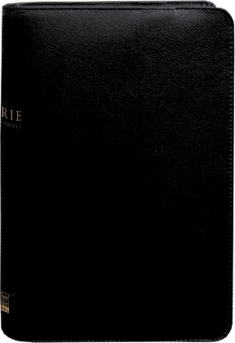 Ryrie-Studienbibel