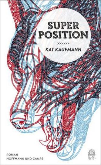 Superposition
