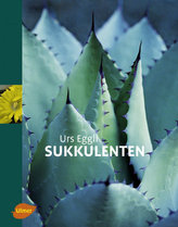 Sukulente