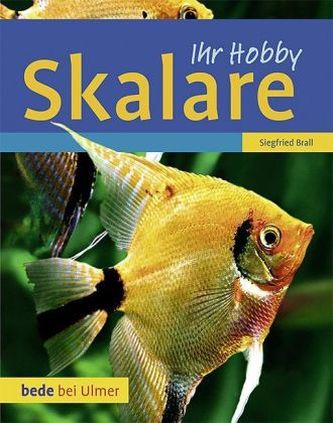 Scalari