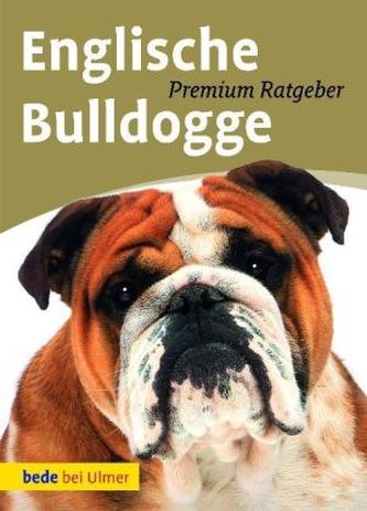 Bulldog englezesc