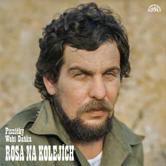 Rosa pe șine