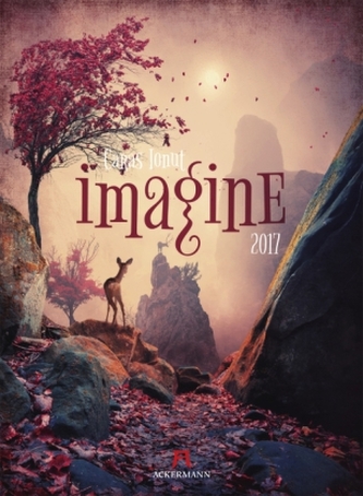 Imagine 2017
