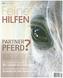 Partner Pferd