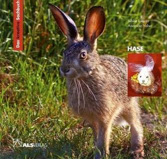 Hase