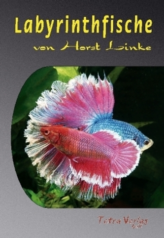 Labyrinthfische