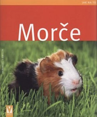 Morče
