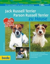 Jack Russell Terrier, Parson Russell Terrier acasă
