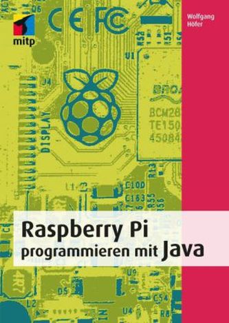 Programarea Raspberry Pi cu Java