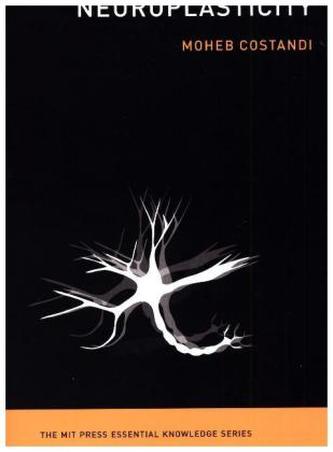 Neuroplasticity