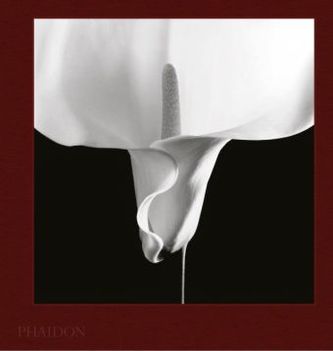 Mapplethorpe Flora