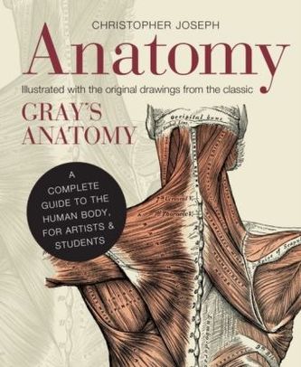Anatomie