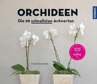 Orhidee