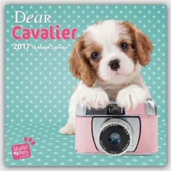 Dear Cavalier 2017