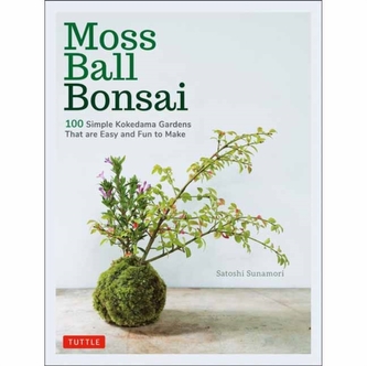 Bonsai cu bilă de mușchi