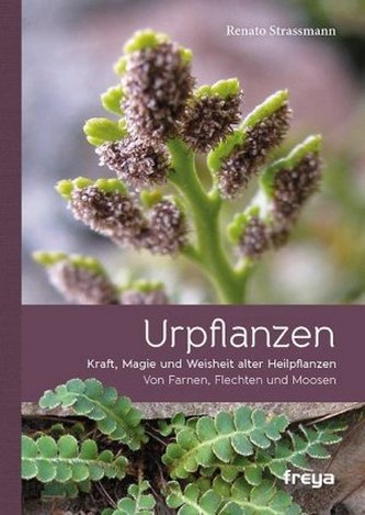 Plante primordiale