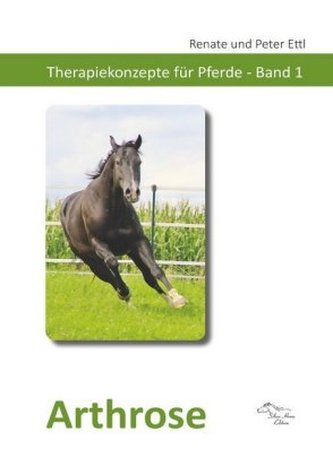Arthrose