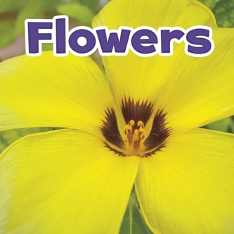 Flori