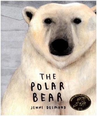 Ursul polar