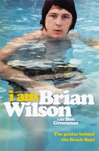Sunt Brian Wilson