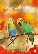 Wellensittiche A4 2019