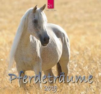 Visuri cu cai 2019