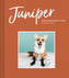 Juniper: Cel mai fericit vulpoi
