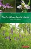 Orhideele Germaniei