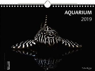 Aquarium 2019